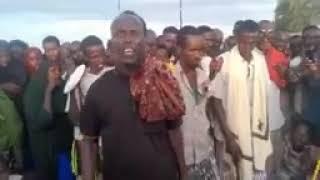 Laashin muuse maxamuud tuuryare (muuse beebe)