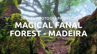 Photographing the Magical Fanal Forest | Madeira Travel Photography Vlog | Episode 1