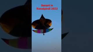Basant in Rawalpindi with this 14 Feet high biggest Kite in the Sky
