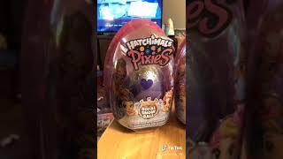 Hatchimal pixies