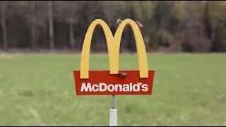 McDonalds – McHive