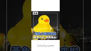 欸，黃色小鴨你看了嗎？｜Cathy Anyway 隨便啦凱西