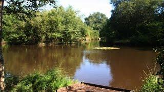 PARLEY LAKE,  PARLEY, DORSET