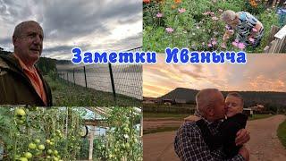 Лето в деревне: урожай лука, цветник Ирины, красавцы помидоры и просто наши дела