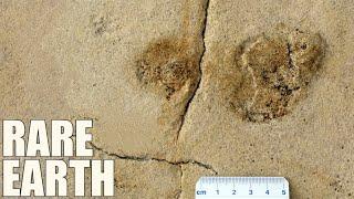 Does this Footprint Prove Humans Originated in Europe?