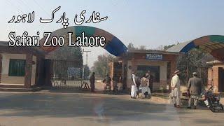 Safari Zoo Lahore | Safari Park Lahore | Lahore Park | @NafeesPakistan