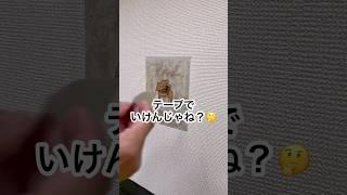 注意喚起ですwww #shorts #クロス屋 #壁紙 #実験 #検証 #インテリア #ビックリ