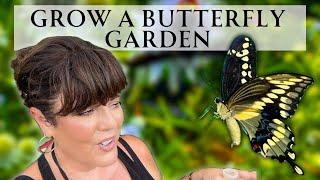 Unboxing Joyful Butterfly Host Plants, Gardening with Native Asters and Zinnias