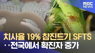 올해 강원 첫 SFTS, 춘천서 발생‥ 진드기 주의 (2025.05.28/뉴스데스크/춘천MBC)