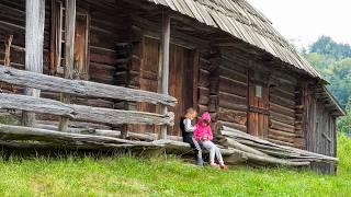 Mountain Treasures: Picking Mushrooms and Exploring Forgotten Paths