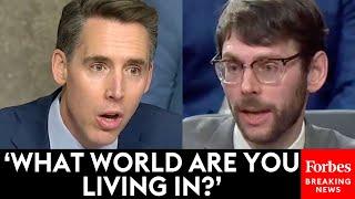 'It's Right Here In Your Testimony!': Josh Hawley Absolutely Loses It On Democrats' Witness