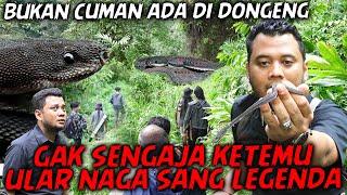 GAK SENGAJA MASUK KE HABITAT ULAR NAGA ENDEMIK JAWA !!  SEOLAH-OLAH MATI, TERNYATA HIDUP..