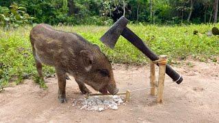 Amazing Most Building Beautiful House Wild Pig Trap Using Axe _ How To Make Wild Pig Trap