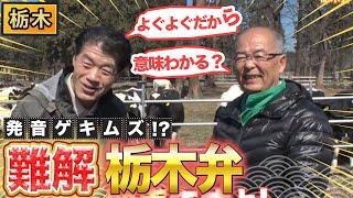 【方言】難解すぎる！栃木弁講座【2019年4月25日 放送】