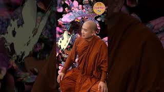 Nhìn Đời Bằng Tâm Không Bám Chấp I Thầy Minh Niệm
