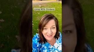 Raising Chickens: Daily Routine