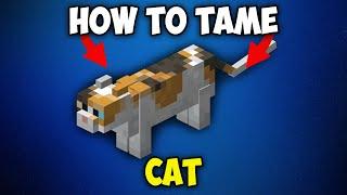 How to Tame a Cat in Minecraft 1.21.2