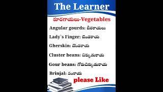 Learn English FLUENTLY in Telugu!