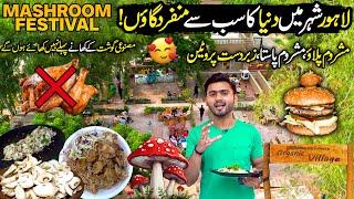 Pakistan's Biggest MUSHROOM Festival At LAHORE ORGANIC VILLAGE | Street Food