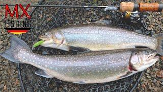 Schöne Saiblinge und Lachsforelle/ Zu warm für November/ Forellen fischen mit Kunstködern/Trout Area