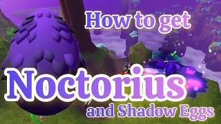 How to Get *New* Noctorius Shadow Dragon in Dragon Adventures!