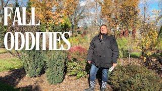 Proven Winners ColorChoice Shrubs Trial Garden Tour - Nov 2024