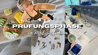 Stressige Tage im Medizinstudium - 1. Prüfung, Gym Unfall, Bib, Kochen,… II Marieke Emilia