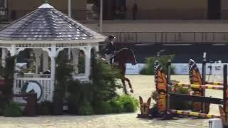 Hailey Royce and Opus One BC - 6th Low Junior Jumpers at SFHJA Charity