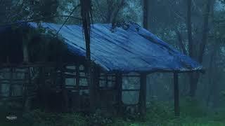 Rain on Shelter with Tarp & Distant Thunder | Help Study, Meditation, PTSD, Insomnia & Tinnitus