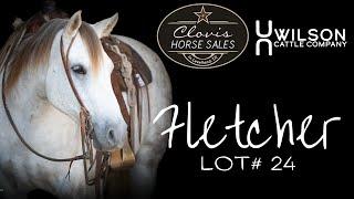 "Fletcher" - Wilson Cattle Co x Clovis Horse Sale