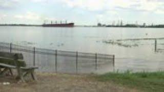 Floodwaters killing oysters, pushing out sea life