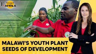 Malawi: Students Use Chinese Farming Techniques For Agricultural Development| Firstpost Africa