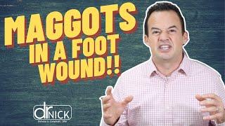 How Does a Wound Get Maggots?! | Dr. Nick Campitelli