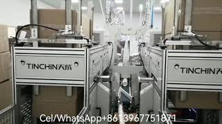 Automatic paper cup packing machine and Cartoning Machine