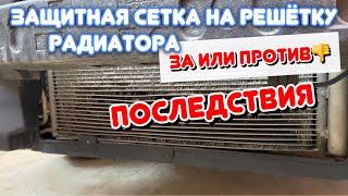 Защитная сетка на радиатор| Ставить или не ставить?