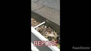 PLANTS GROWING IN GUTTERS!!! Gutter cleaning service