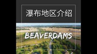 瀑布地区介绍｜What about Niagara |  Beaverdams Area