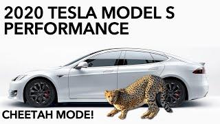 2020 Tesla Model S Performance 0-60 and 1/4 mile test - Cheetah Launch Mode!