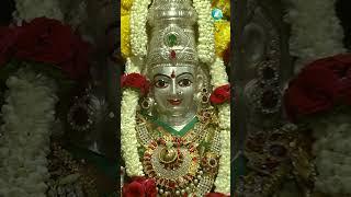ಕುಂಕುಮವ ತಂದಿರುವೆ  | Kunkumava Thandiruve | Goddess Parvati Devotional Song | Vani Jairam |