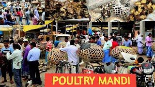 Duck market in India II Poultry Mandi II Batak ki Mandi II Chicken Market II Duck farming