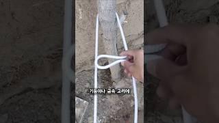 누구나 따라하는 ‘단단하지만 쉽게 푸는 매듭법’