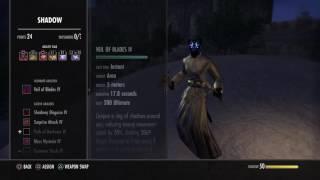 Stamina Nightblade PVE DPS Build (One Tamriel)