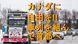 カナダでトラックコンボイが首都まで車列を組んで抗議デモ！　#truckconvoy　#ウクライナ危機