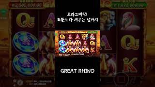 ▶슬롯머신 프라그매틱! 코뿔소를 다 채운다면? / PRAGMATIC Great Rhino