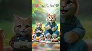 cat emotional story  #shorts #catfuntv #youtubeshorts