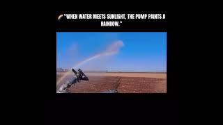  Nature’s unexpected art.When sunlight hits the spray just right. #youtubeshorts #youtube Subscribe