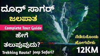 Dhudsagara Waterfalls Complete Tour Guide ಧೂದಸಾಗರ ಜಲಪಾತ ಎಲ್ಲಿದೆ ಹೇಗೆ ತಲುಪುವುದು ಈ ವಿಡಿಯೋ ಮಿಸ್ ಮಾಡಬೇಡಿ