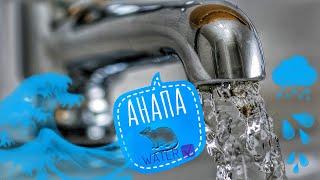 Я больше не крыса ! Нам дали воду. АНАПА 10.08.2018