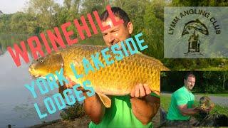 Fishing Holiday Park:York lakeside lodges and Wrinehill carp