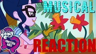 Trixie eine Petze!  | My Little Pony - EQG Better Together S01